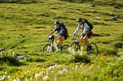 Radfahren inmitten malerischer Landschaften  (Bild: Shutterstock)